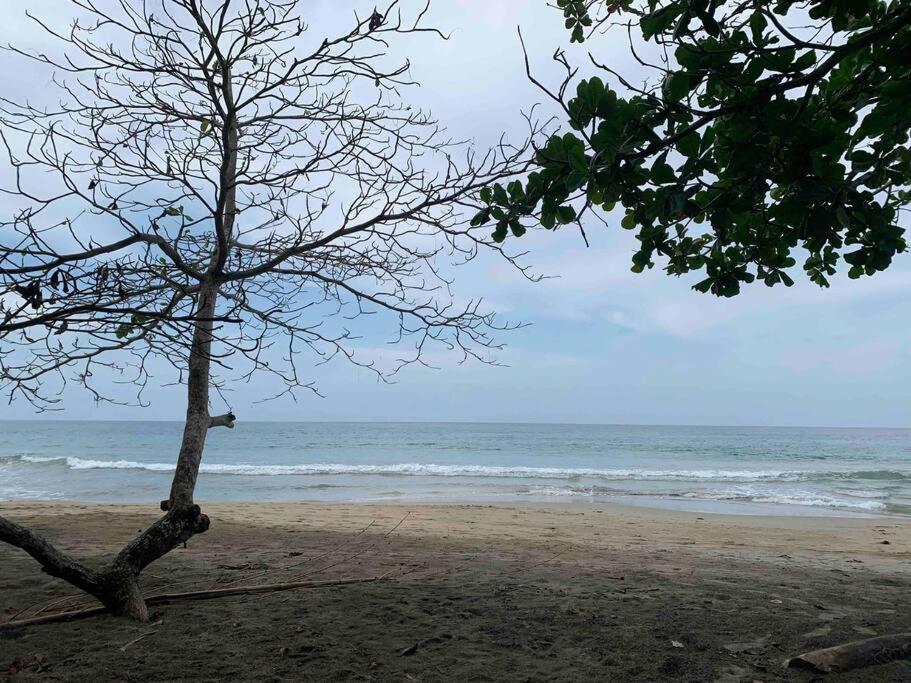 曼萨尼约Beautiful Loft Near The Beach公寓 外观 照片